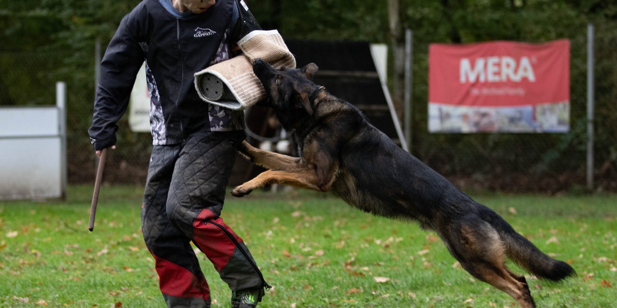 311297978_480747657423413_2458598256885699731_n