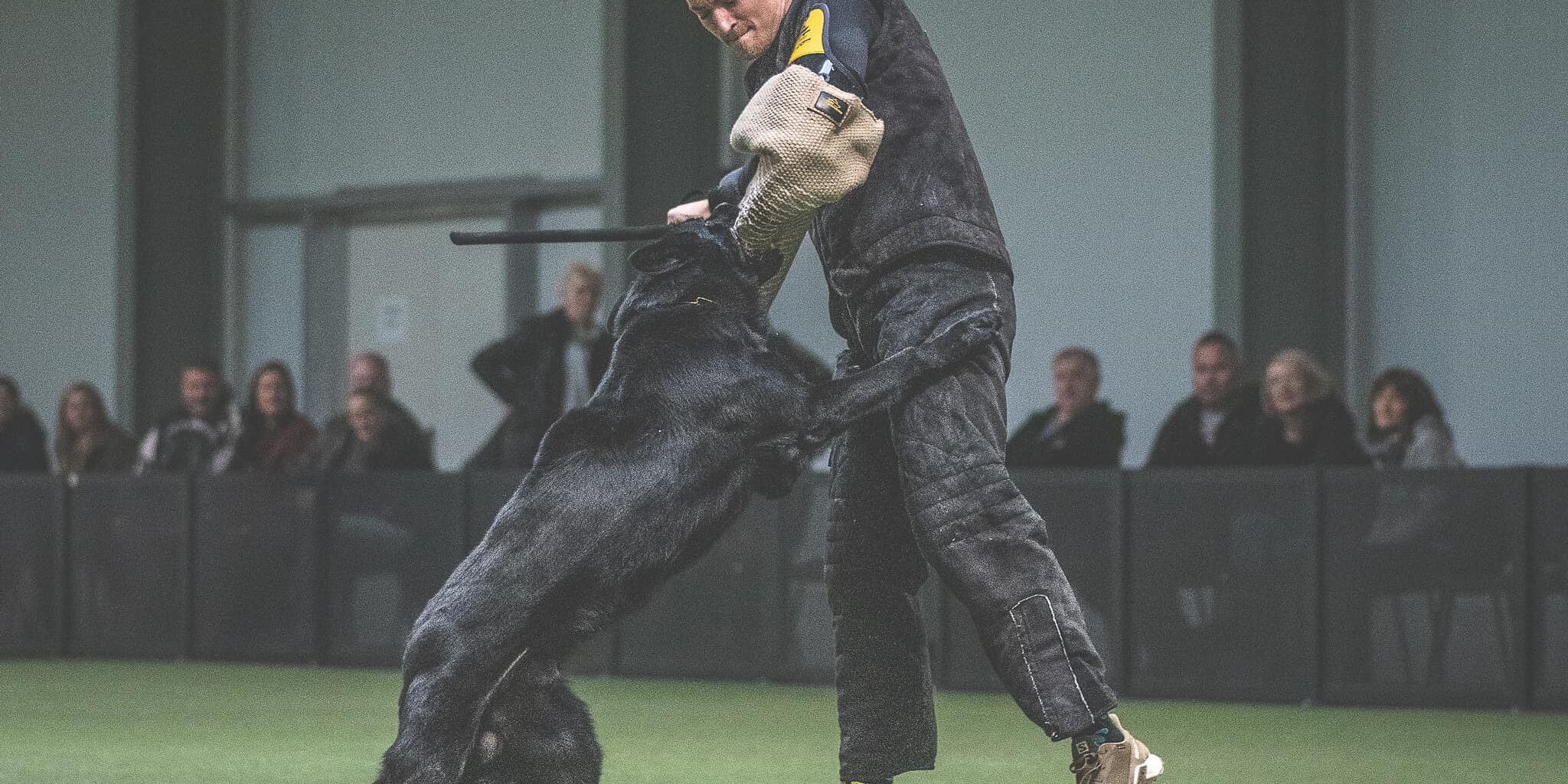 316410163_5692852887427804_9036669300564253107_n