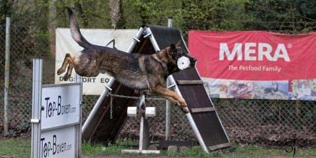 340455309_1400613237359018_4990914535056779090_n