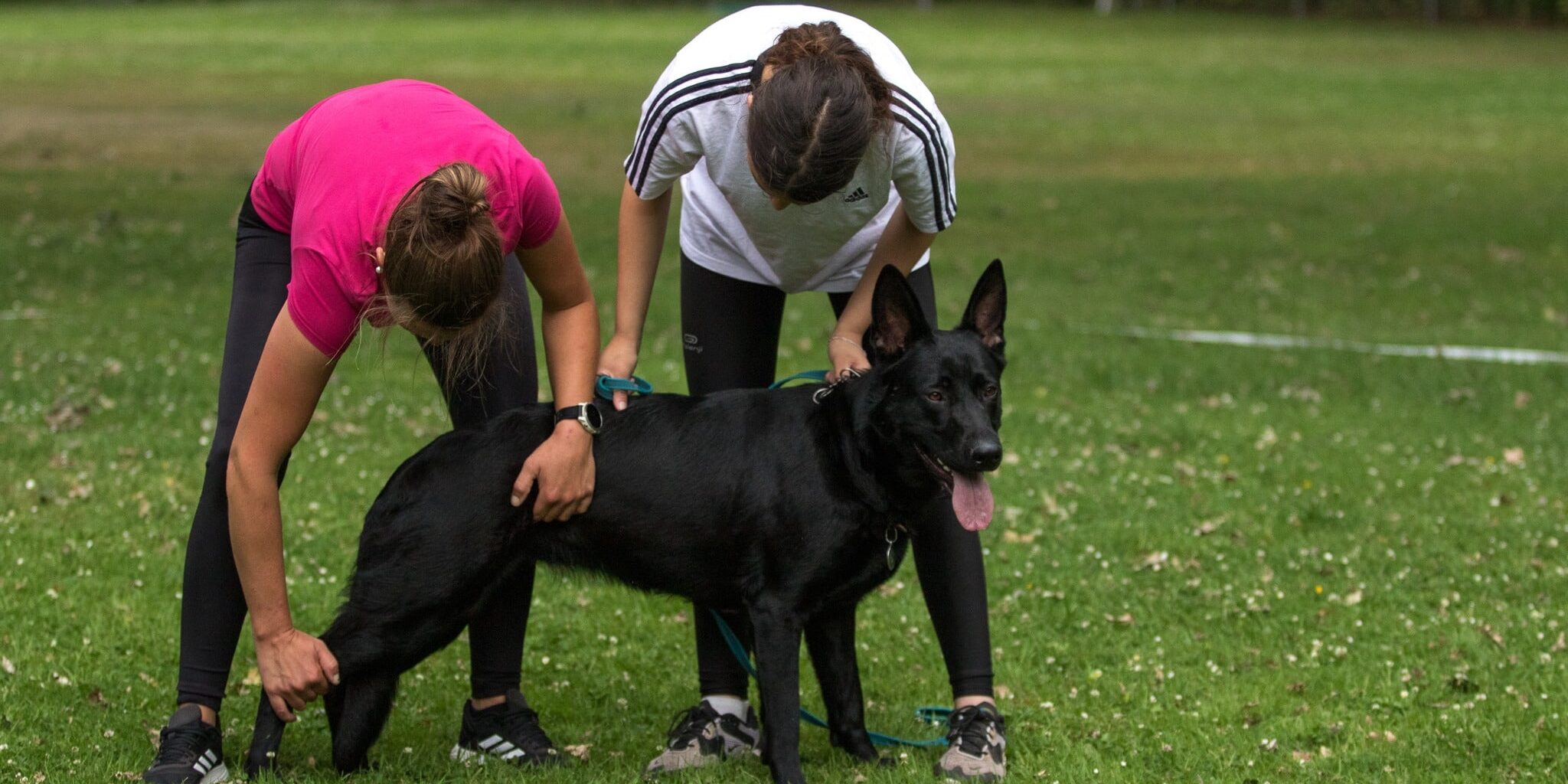 360108052_660162352815275_6589855536689538427_n