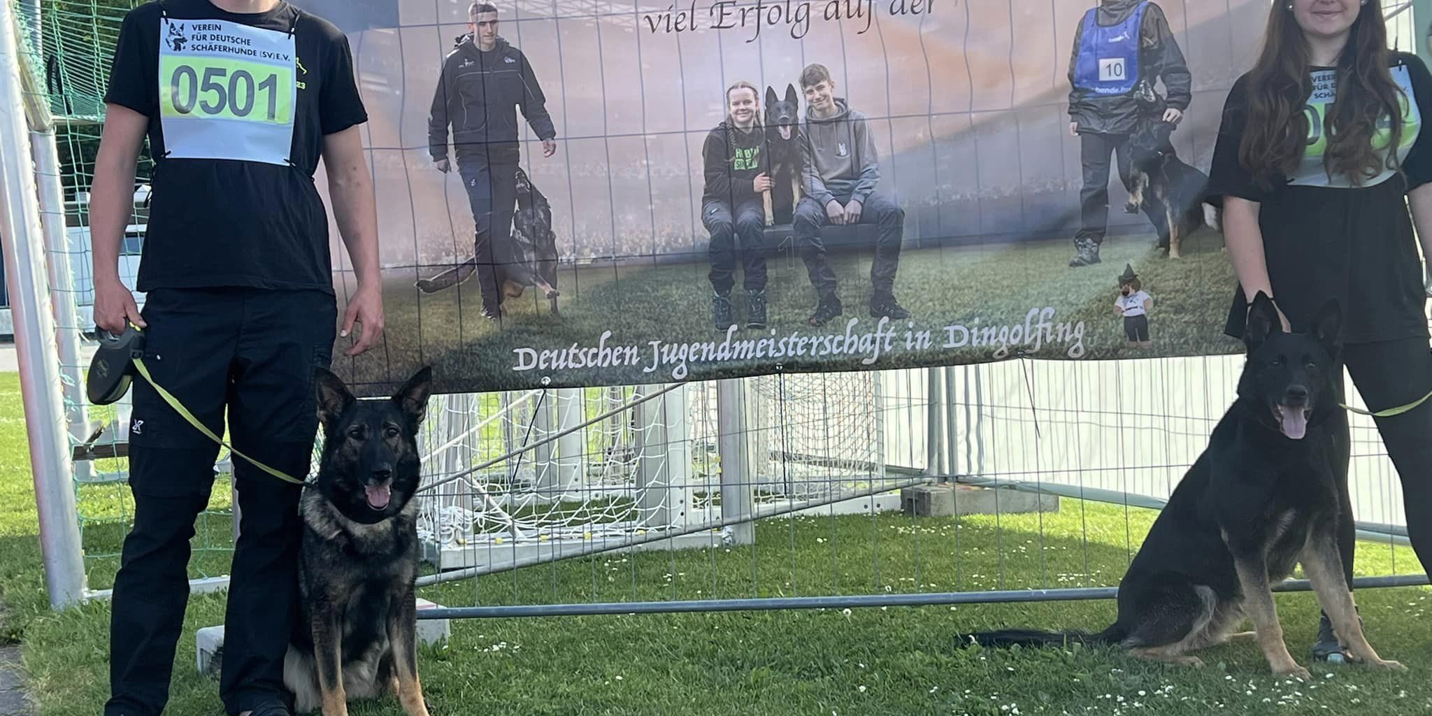 443819910_467485229064136_8255654259228885244_n