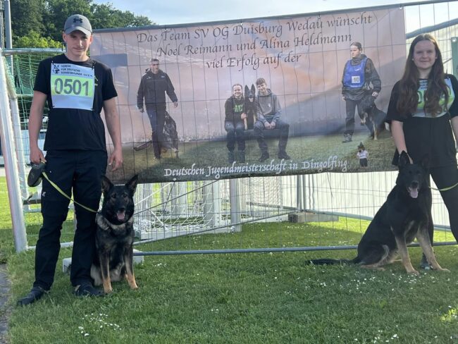 443819910_467485229064136_8255654259228885244_n