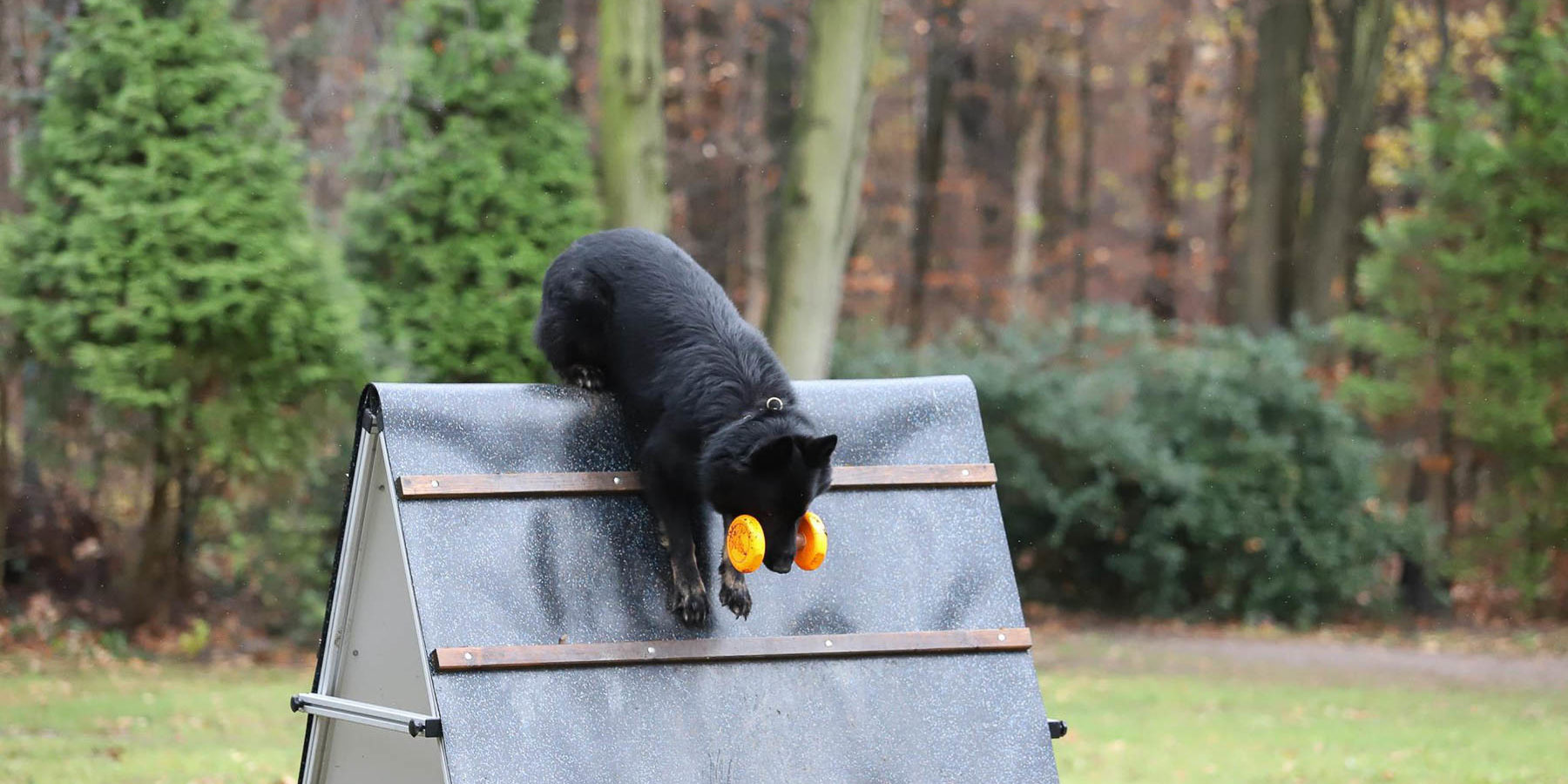 Adventpokalkampf Knut Fuchs 2018 040