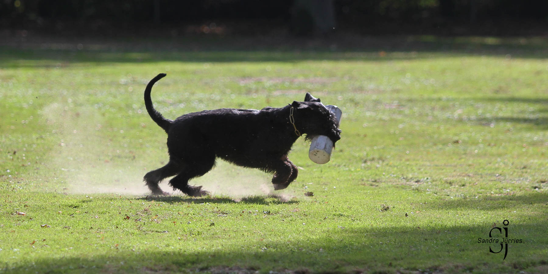 Herbstprüfung 2018 120