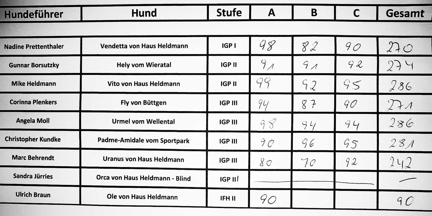 Herbstprüfung 2019 010