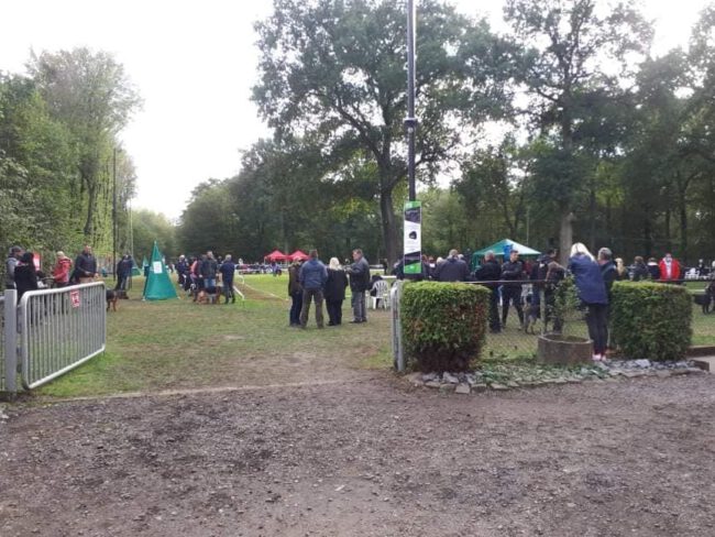 Schauveranstaltung Zucht und Nachwuchsschau 2020 010