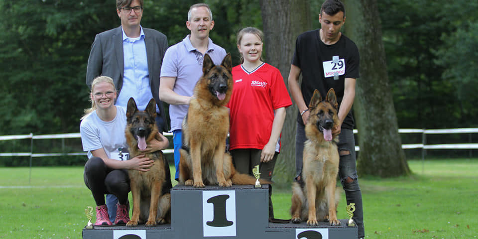 Zucht und Nachwuchsschau 2019 180